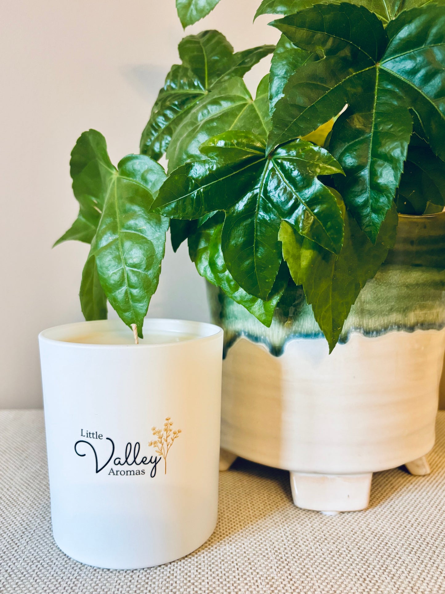 The Orangery Soy Wax Candle