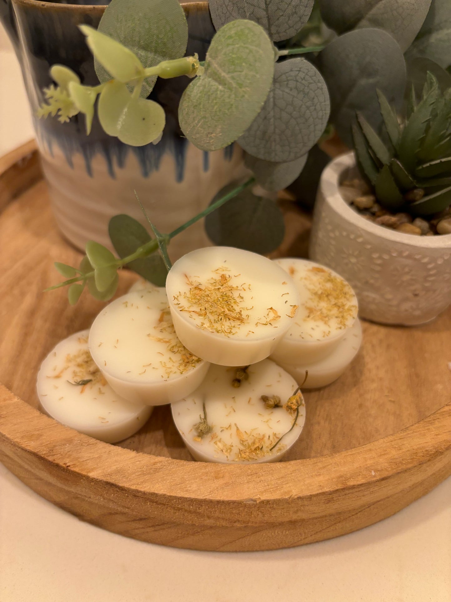 vintage bookstore wax melt